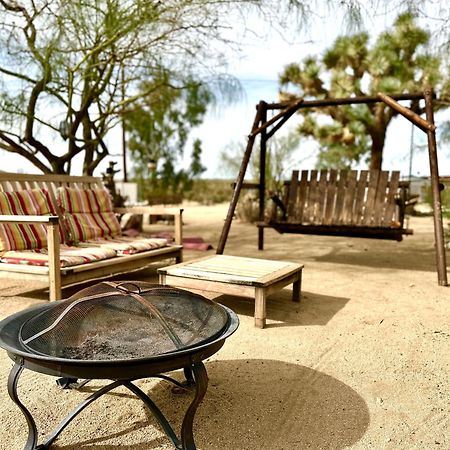Popular Homestead! Location, Stargaze, Views! 约书亚树 外观 照片