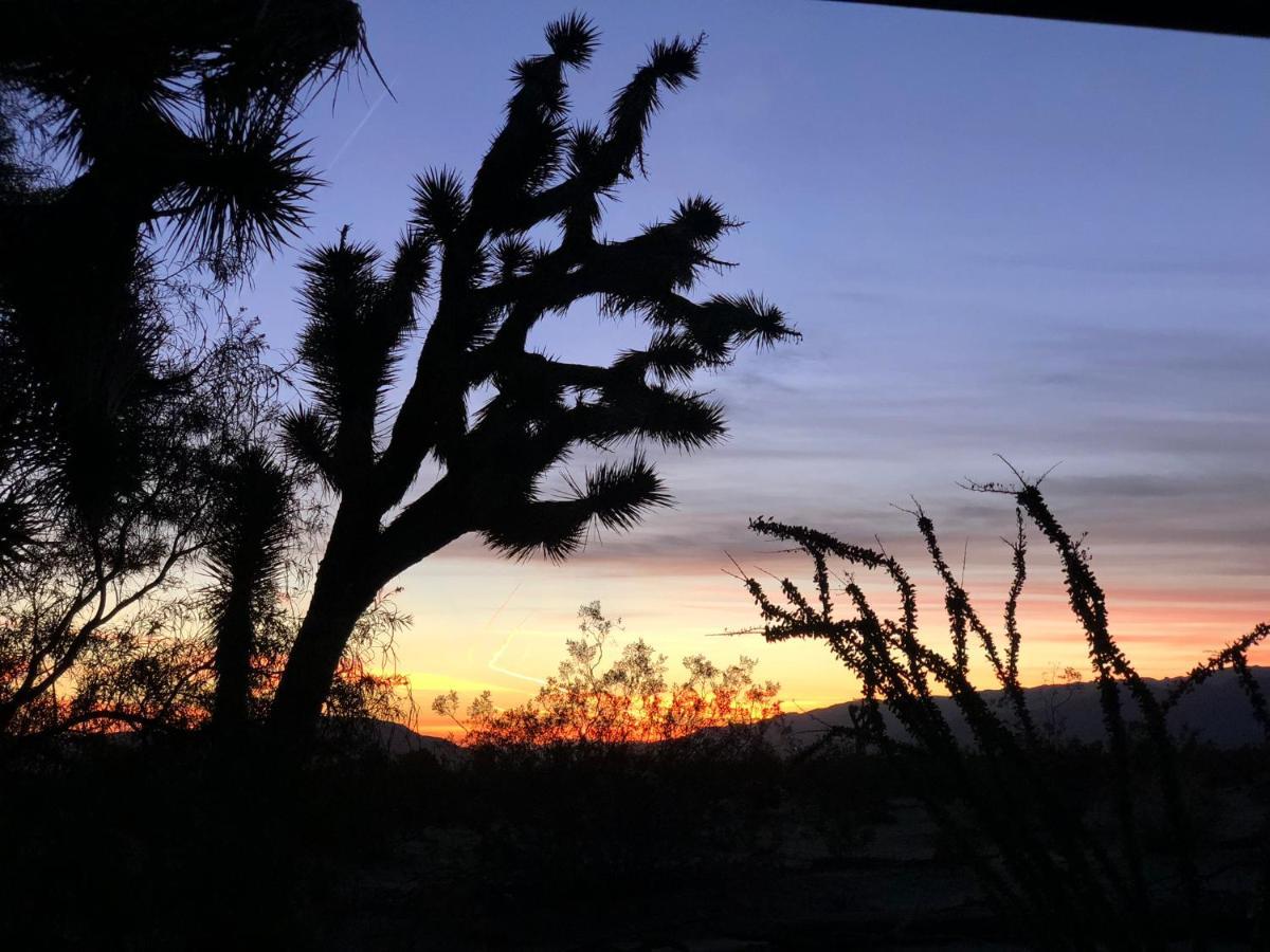 Popular Homestead! Location, Stargaze, Views! 约书亚树 外观 照片