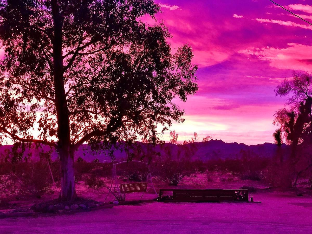 Popular Homestead! Location, Stargaze, Views! 约书亚树 外观 照片