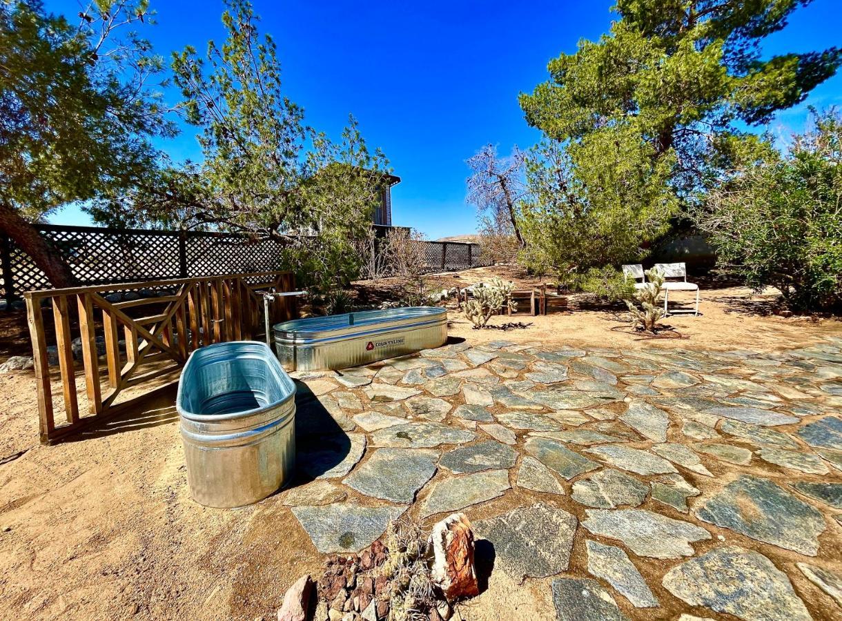 Popular Homestead! Location, Stargaze, Views! 约书亚树 外观 照片