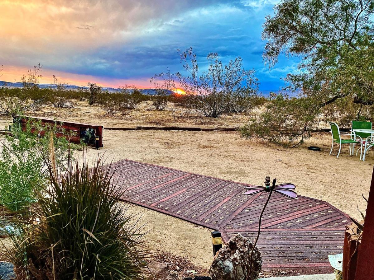 Popular Homestead! Location, Stargaze, Views! 约书亚树 外观 照片