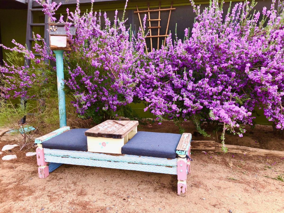 Popular Homestead! Location, Stargaze, Views! 约书亚树 外观 照片