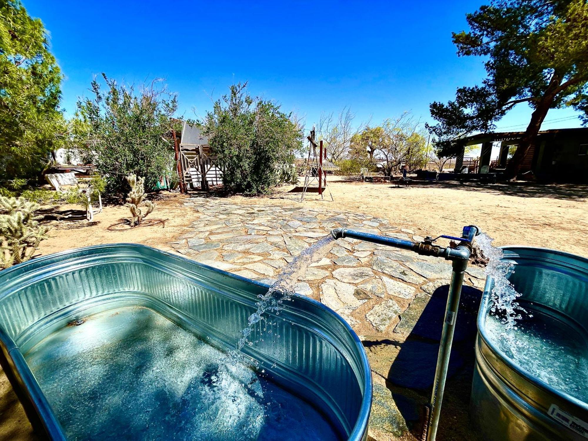 Popular Homestead! Location, Stargaze, Views! 约书亚树 外观 照片